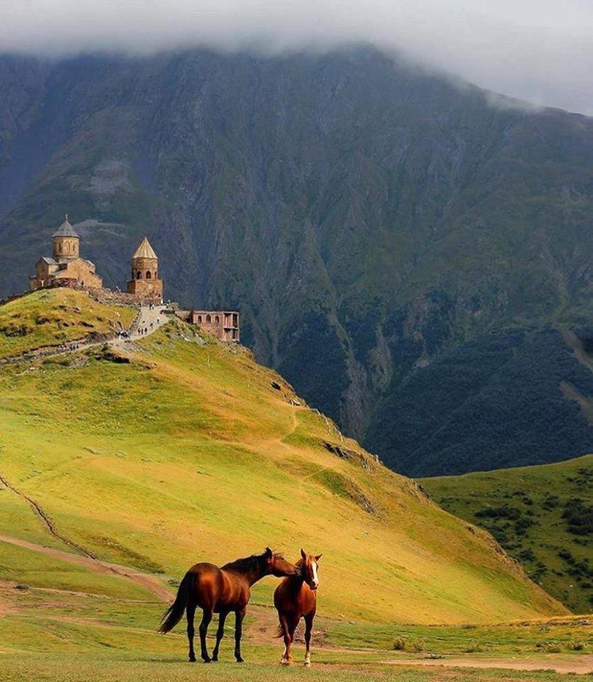 Ineza'S Guest House Kazbegi Bagian luar foto